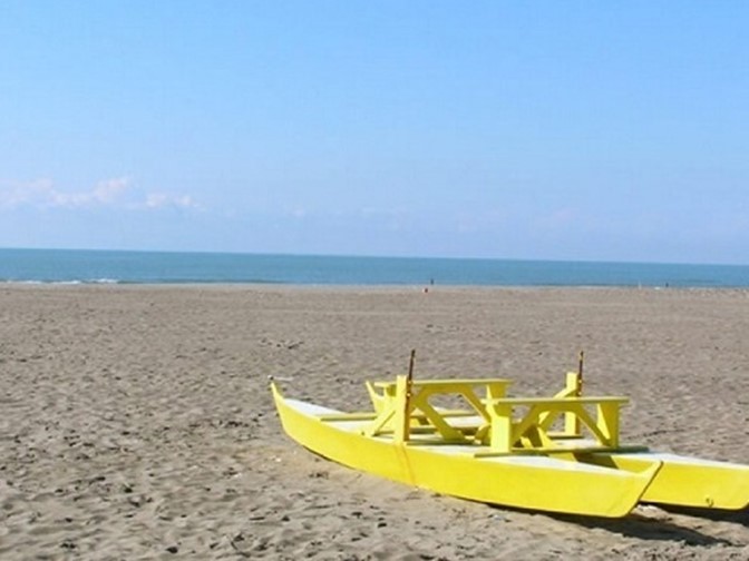Attività commerciale in Vendita a Viareggio, zona Torre Del Lago Puccini, 