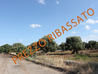 Terreno industriale in Vendita a Monopoli, zona Industriale, 1'550'000€, 89090 m²