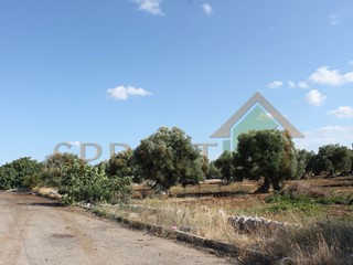 Terreno industriale in Vendita a Monopoli, zona Industriale, 600'000€, 28836 m²
