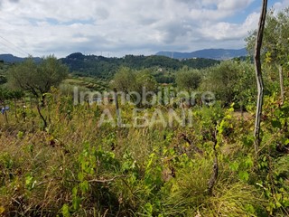 Terreno agricolo in Vendita a Arcola, zona Masignano, 19'000€, 4050 m²