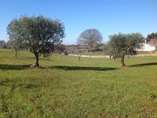Terreno edificabile in Vendita a Alberobello, zona CONTRADA COMUNE, 28'000€, 10510 m²