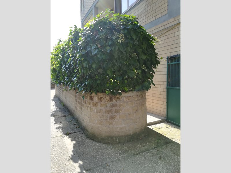 Quadrilocale in Vendita a Roma, zona Valle Muricana, Via della Giustiniana,Parco Veio difronte supermercato PIM, 200'000€, 115 m²