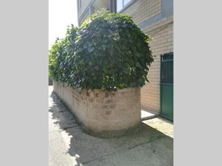 Quadrilocale in Vendita a Roma, zona Valle Muricana, Via della Giustiniana,Parco Veio difronte supermercato PIM, 200'000€, 115 m²