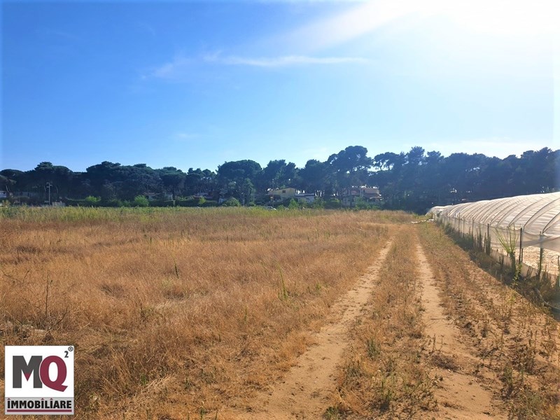Terreno agricolo in Vendita a Mondragone, zona pineta riviera, 10'000€, 3400 m²
