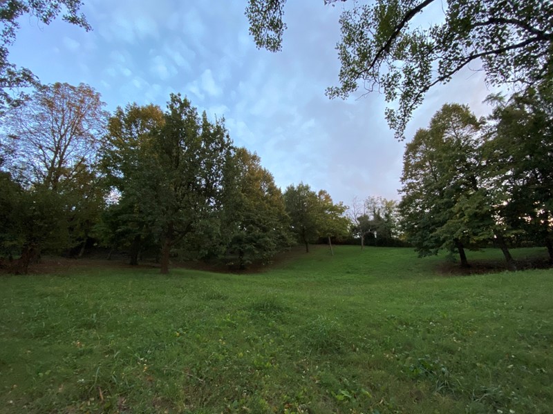 Terreno agricolo in Vendita a Albinea, zona Botteghe, 65'000€, 6421 m²