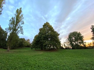 Terreno agricolo in Vendita a Albinea, zona Botteghe, 65'000€, 6421 m²