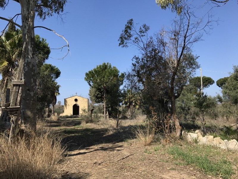 Terreno agricolo in Vendita a Alezio, 300'000€, 50000 m², arredato