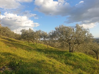 Terreno agricolo in Vendita a Lugnano in Teverina, 12'000€, 4500 m²