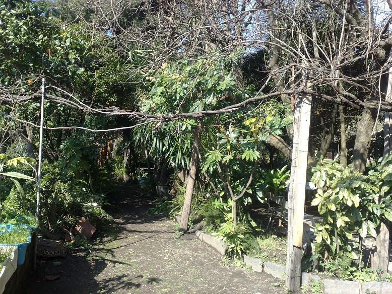 Terreno agricolo in Vendita a Napoli, zona CAPODIMONTE, 450'000€, 1000 m²