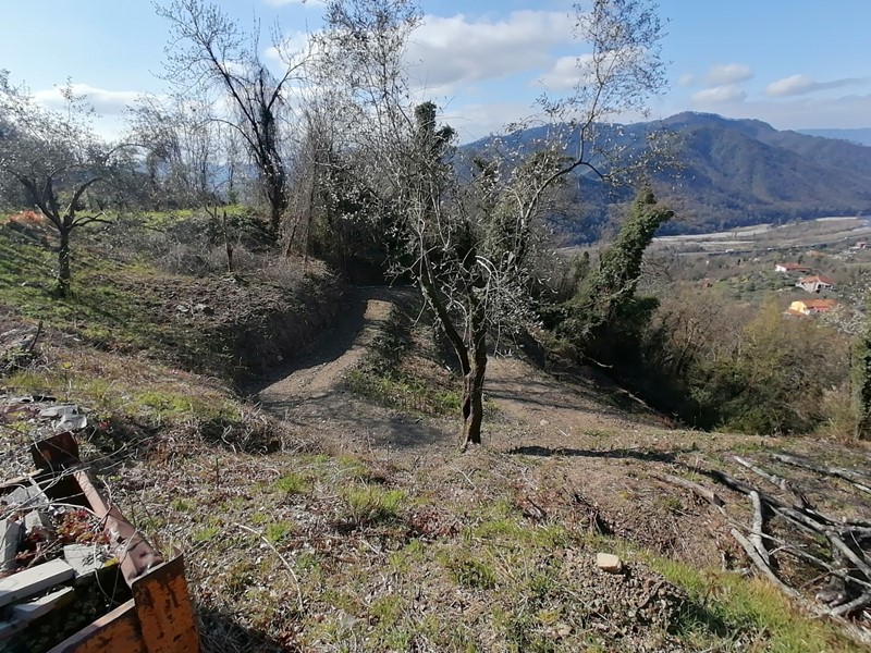 Casa Indipendente in Vendita a Calice al Cornoviglio, zona Costa di Tranci, 179'000€, 400 m²