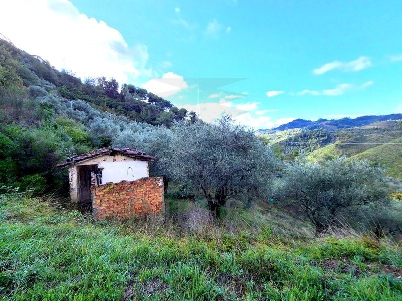 Terreno agricolo in Vendita a Perinaldo, 35'000€, 2300 m²