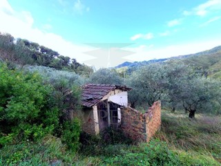 Terreno agricolo in Vendita a Perinaldo, 35'000€, 2300 m²