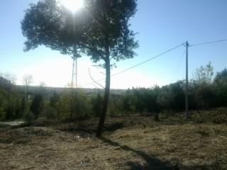 Terreno edificabile in Vendita a Luni, 300'000€, 6934 m²