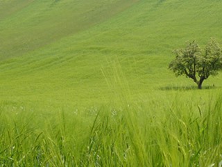 Attività commerciale in Vendita a Petritoli, 3'000'000€, 182800 m²