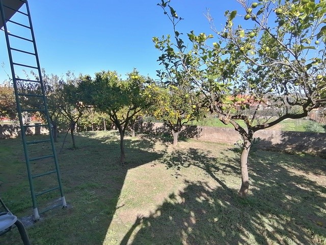 Casa Indipendente in Vendita a Ascea, zona Velia, 260'000€, 100 m²