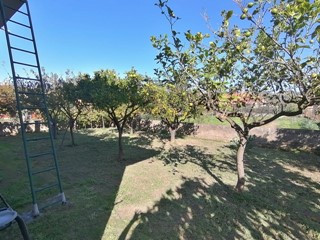 Casa Indipendente in Vendita a Ascea, zona Velia, 260'000€, 100 m²