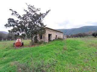 Terreno agricolo in Vendita a Giano Vetusto, zona Sp 175 Pastorano, 90'000€, 18000 m²