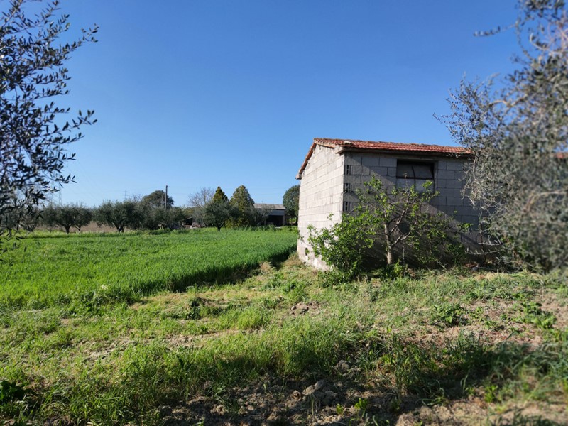 Terreno agricolo in Vendita a Alviano, 55'000€, 200 m²