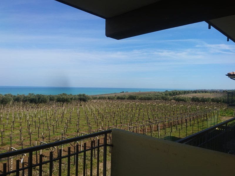 Trilocale in Affitto a Ortona, zona contrada lazzaretto, 450€, 64 m²