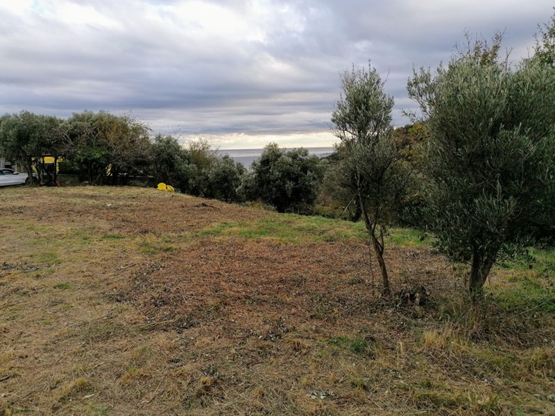 Terreno agricolo in Vendita a Savona, zona LEGINO, 150'000€, 130 m²