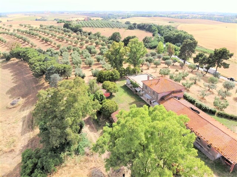 Rustico in Vendita a Ardea, zona SANTA PALOMBA, 1'450'000€, 900 m²