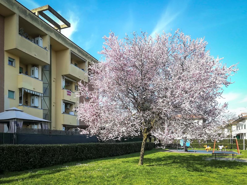 Appartamento in Affitto a Prato, zona Grignano, 600€, 52 m²