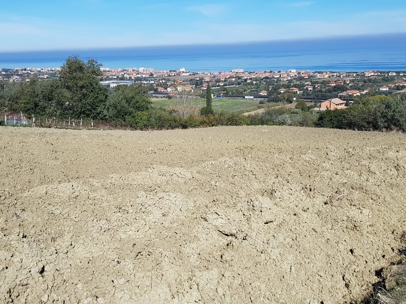 Terreno agricolo in Vendita a Mondolfo, zona Monteciappellano, 175'000€, 15000 m²