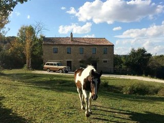 Casale in Vendita a Castelplanio, zona Moie Di Maiolati, 350'000€, 600 m²