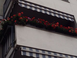 Bilocale in Affitto a Collegno, zona Borgata paradiso, 600€, 50 m²