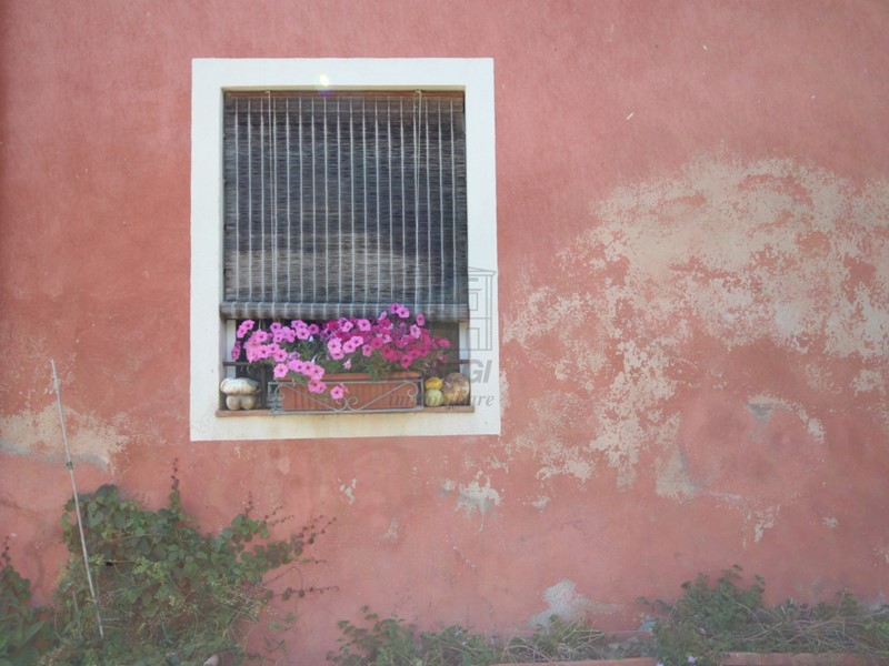 Casale in Vendita a Lucca, zona Nord, 1'300'000€, 500 m²
