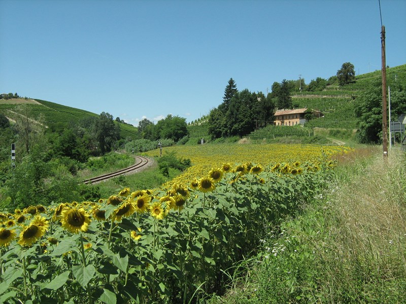 Casale in Vendita a Calosso, 250'000&euro;, 286 m²