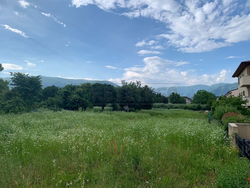 Terreno edificabile in Vendita a Bassano del Grappa, zona Q.re Padre Zanuso, 5000 m²