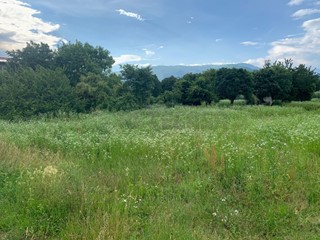 Terreno edificabile in Vendita a Bassano del Grappa, zona Q.re Padre Zanuso, 5000 m²