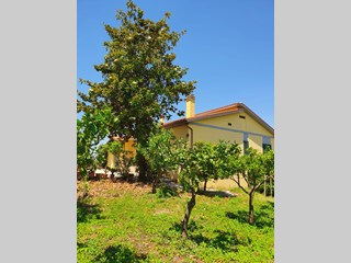 Casa Indipendente in Vendita a Velletri, 249'000€, 130 m², arredato