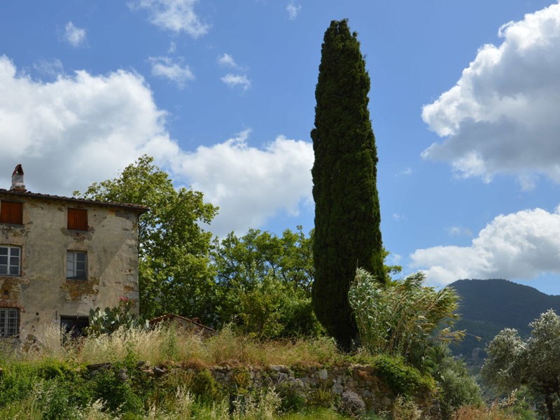 Casa Indipendente in Vendita a Capannori, zona Marlia, 400'000€, 300 m², con Box