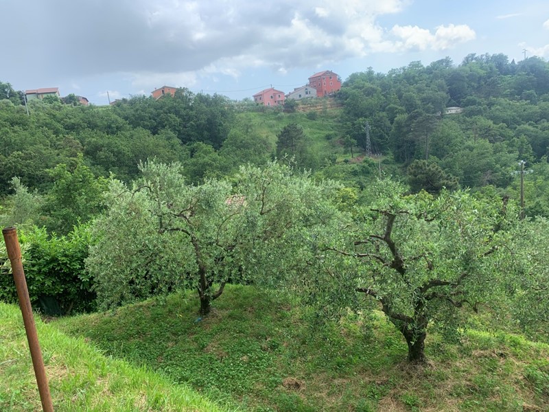 Terreno agricolo in Vendita a Santo Stefano di Magra, 40'000€, 3000 m²