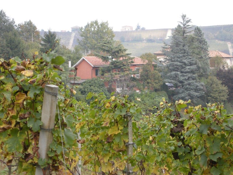 Casale in Vendita a Costigliole d'Asti, 420'000€, 435 m², con Box