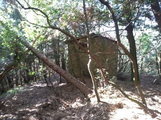 Casa Indipendente in Vendita a Massarosa, zona Montigiano, 12'000€, 15 m²