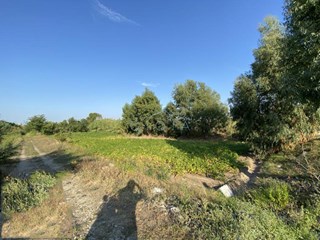 Terreno agricolo in Vendita a Mondragone, 25'000€, 5190 m²