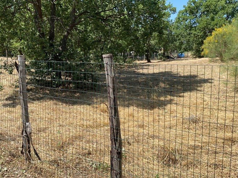 Terreno agricolo in Vendita a Pedara, 19'000€, 1500 m²