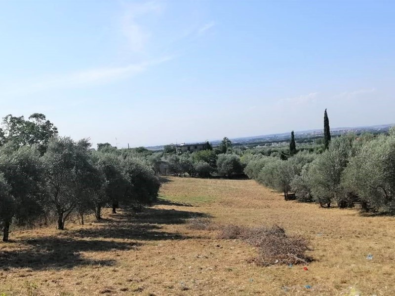 Terreno agricolo in Vendita a Roma, zona PANTANO BORGHESE, 88'000&euro;, 2860 m²