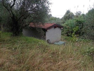 Terreno agricolo in Vendita a Fosdinovo, 60'000€, 20 m²