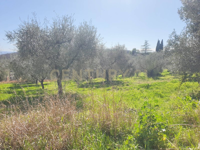 Terreno agricolo in Vendita a Mentana, 50'000€, 15000 m²