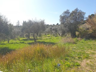 Terreno agricolo in Vendita a Mentana, 50'000€, 15000 m²
