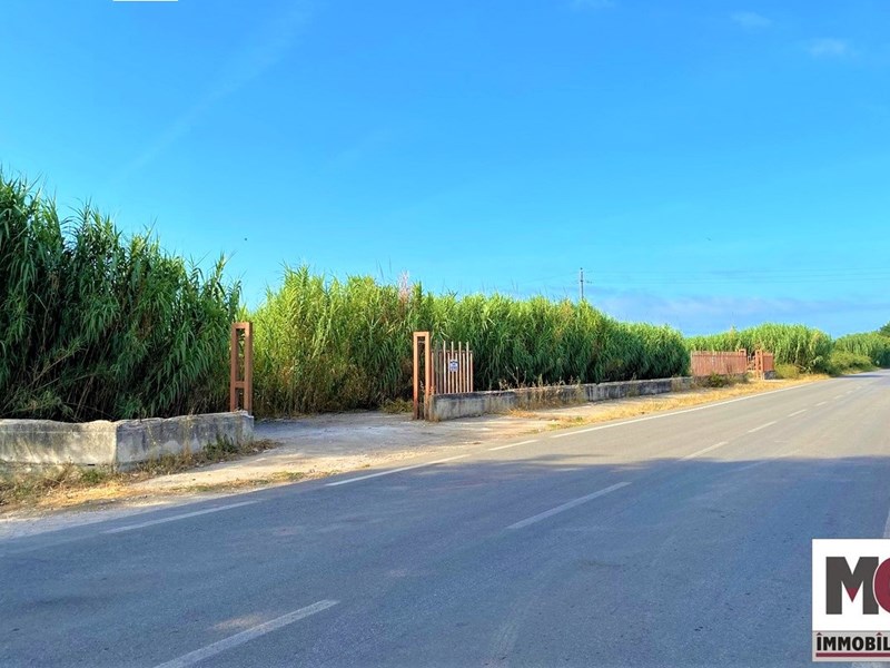Terreno agricolo in Vendita a Mondragone, zona strada provinciale 259, 9'900€, 3300 m²