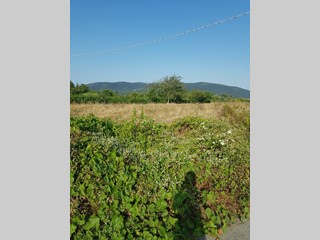 Terreno edificabile in Vendita a Sarzana, 270'000€, 