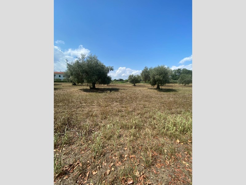Terreno agricolo in Vendita a Fermo, zona Lido San Tommaso, 60'000€, 12060 m²