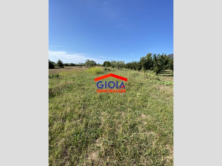 Terreno agricolo in Vendita a Falciano del Massico, 13'500€, 3333 m²