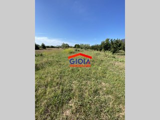 Terreno agricolo in Vendita a Falciano del Massico, 13'500€, 3333 m²