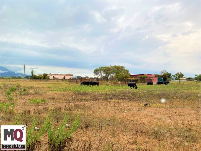 Terreno agricolo in Vendita a Mondragone, zona pineta nuova, 7'000€, 3141 m²